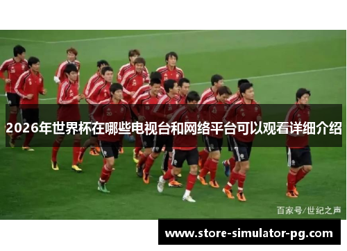 2026年世界杯在哪些电视台和网络平台可以观看详细介绍